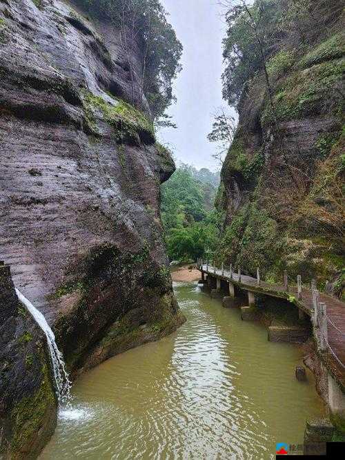 桃花洞口已是溪水潺潺：探寻神秘景点的自然奇观