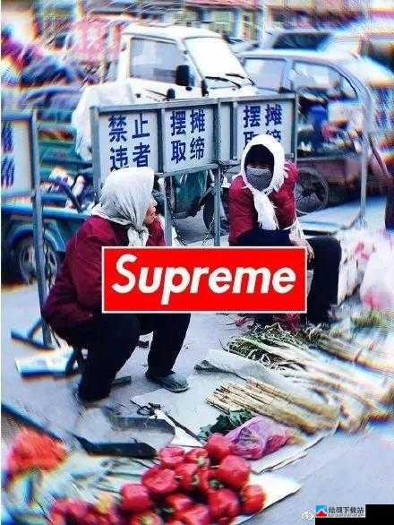 ZOMBIE视频SUPREME：震撼来袭