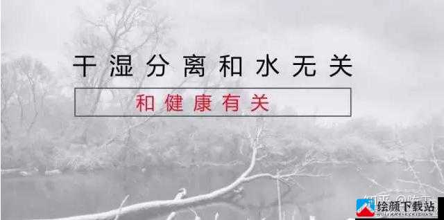 可不可以干湿解释：一种全新的理解方式