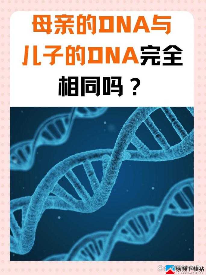 母亲和儿子DNA一样吗：科学解析与差异