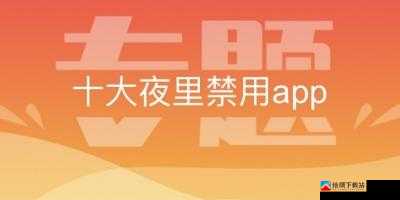 夜里 100 种禁用视频软件相关内容