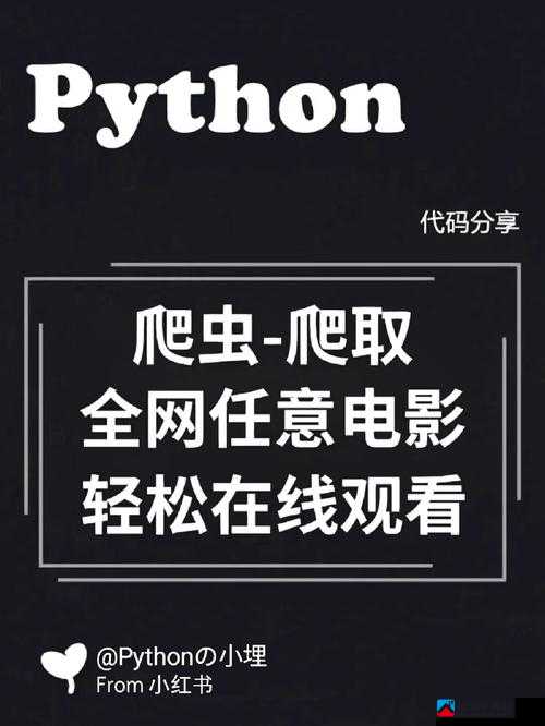 小电影 python：关于它的一些介绍