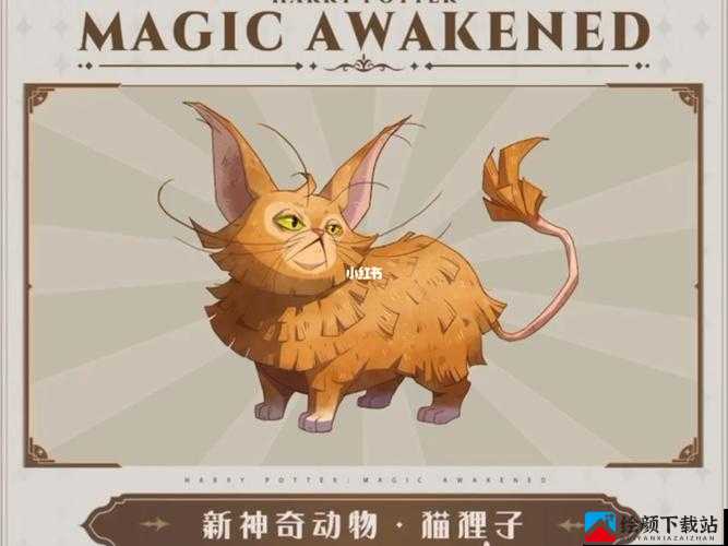 哈利波特魔法觉醒混血猫狸子宠物获取指南